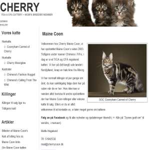 Cherry Maine Coon