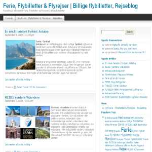 Billige flybilletter - Flyrejser